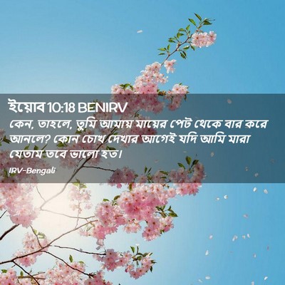 Picture 02 - ইয়োব 10:18 BENIRV - কেন, তাহলে, তুমি - Bible Verse Picture