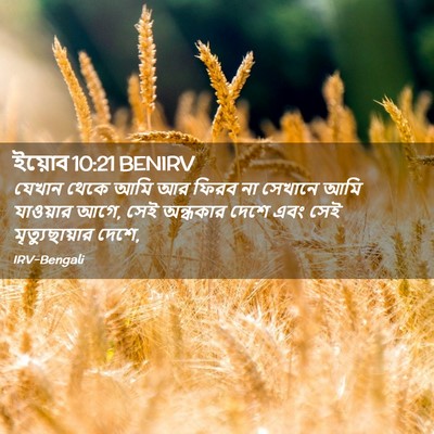 Picture 02 - ইয়োব 10:21 BENIRV - যেখান থেকে আমি আর - Bible Verse Picture