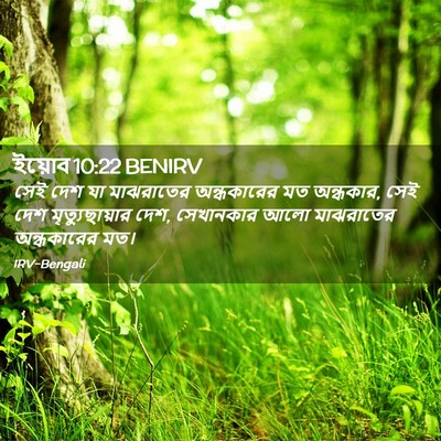 Picture 02 - ইয়োব 10:22 BENIRV - সেই দেশ যা - Bible Verse Picture