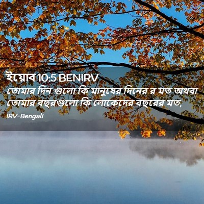Picture 02 - ইয়োব 10:5 BENIRV - তোমার দিন গুলো কি - Bible Verse Picture