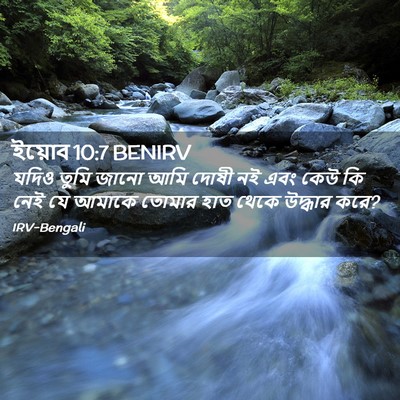 Picture 02 - ইয়োব 10:7 BENIRV - যদিও তুমি জানো আমি - Bible Verse Picture