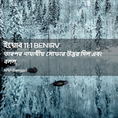 Picture 02 - ইয়োব 11:1 BENIRV - তারপর নামাথীয় - Bible Verse Picture