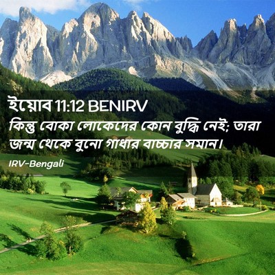 Picture 02 - ইয়োব 11:12 BENIRV - কিন্তু বোকা - Bible Verse Picture