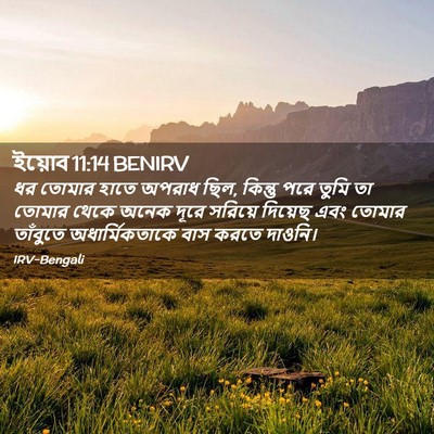 Picture 02 - ইয়োব 11:14 BENIRV - ধর তোমার হাতে - Bible Verse Picture