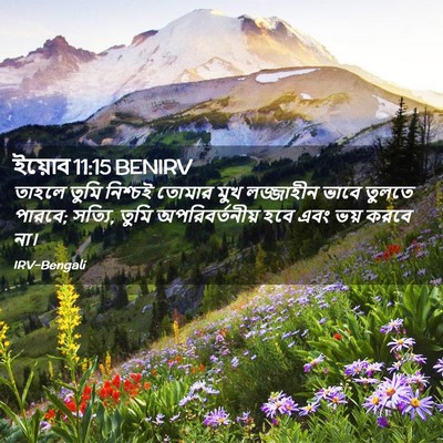 Picture 02 - ইয়োব 11:15 BENIRV - তাহলে তুমি নিশ্চই - Bible Verse Picture