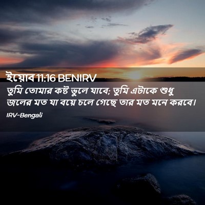 Picture 02 - ইয়োব 11:16 BENIRV - তুমি তোমার কষ্ট - Bible Verse Picture