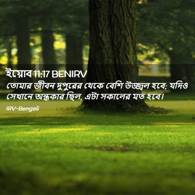 Picture 02 - ইয়োব 11:17 BENIRV - তোমার জীবন - Bible Verse Picture