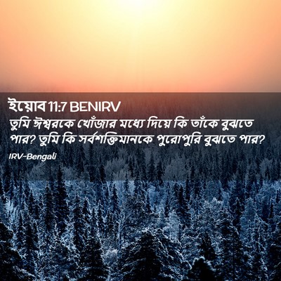 Picture 02 - ইয়োব 11:7 BENIRV - তুমি ঈশ্বরকে - Bible Verse Picture