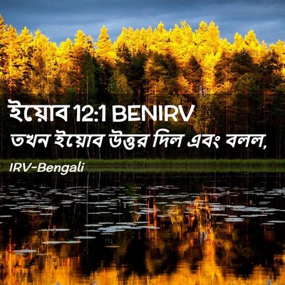 Picture 02 - ইয়োব 12:1 BENIRV - তখন ইয়োব উত্তর - Bible Verse Picture