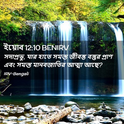 Picture 02 - ইয়োব 12:10 BENIRV - সদাপ্রভু, যার হাতে - Bible Verse Picture