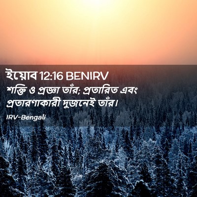 Picture 02 - ইয়োব 12:16 BENIRV - শক্তি ও প্রজ্ঞা - Bible Verse Picture