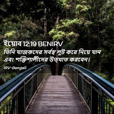 Picture 02 - ইয়োব 12:19 BENIRV - তিনি যাজকদের - Bible Verse Picture