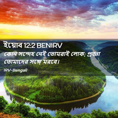 Picture 02 - ইয়োব 12:2 BENIRV - কোন সন্দেহ নেই - Bible Verse Picture