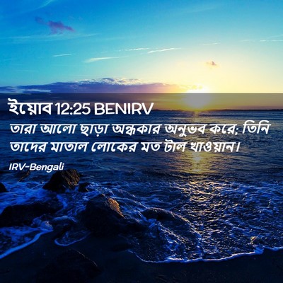 Picture 02 - ইয়োব 12:25 BENIRV - তারা আলো ছাড়া - Bible Verse Picture