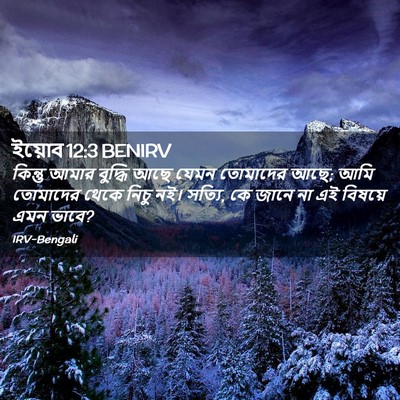 Picture 02 - ইয়োব 12:3 BENIRV - কিন্তু আমার - Bible Verse Picture