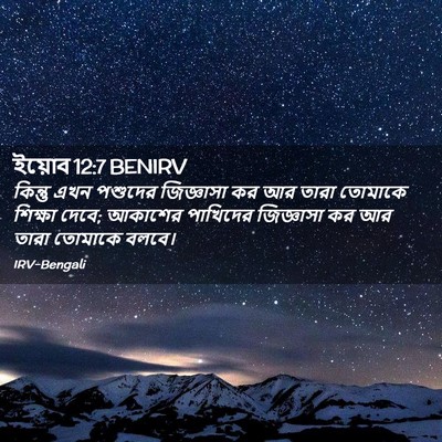 Picture 02 - ইয়োব 12:7 BENIRV - কিন্তু এখন পশুদের - Bible Verse Picture