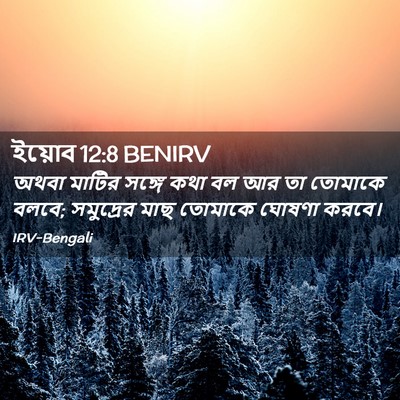 Picture 02 - ইয়োব 12:8 BENIRV - অথবা মাটির সঙ্গে - Bible Verse Picture