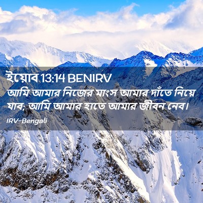 Picture 02 - ইয়োব 13:14 BENIRV - আমি আমার নিজের - Bible Verse Picture