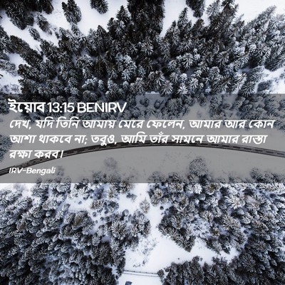 Picture 02 - ইয়োব 13:15 BENIRV - দেখ, যদি তিনি আমায় - Bible Verse Picture