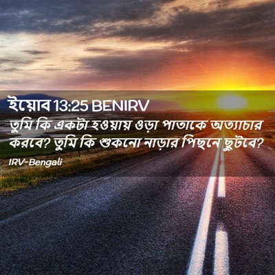 Picture 02 - ইয়োব 13:25 BENIRV - তুমি কি একটা - Bible Verse Picture