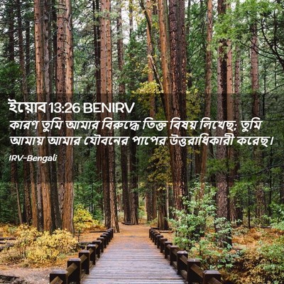 Picture 02 - ইয়োব 13:26 BENIRV - কারণ তুমি আমার - Bible Verse Picture