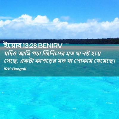 Picture 02 - ইয়োব 13:28 BENIRV - যদিও আমি পচা - Bible Verse Picture