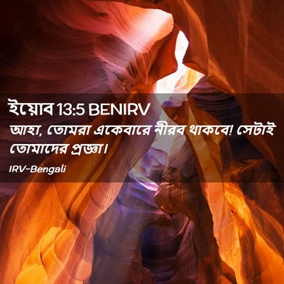 Picture 02 - ইয়োব 13:5 BENIRV - আহা, তোমরা একেবারে - Bible Verse Picture