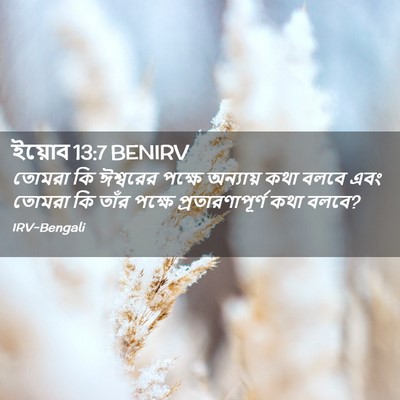 Picture 02 - ইয়োব 13:7 BENIRV - তোমরা কি ঈশ্বরের - Bible Verse Picture