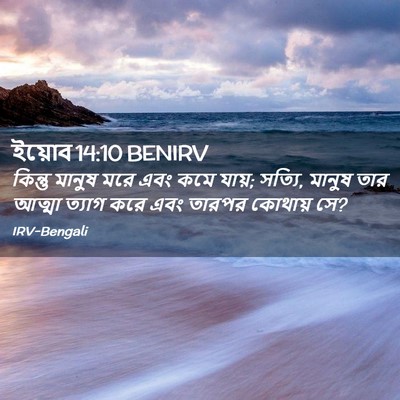 Picture 02 - ইয়োব 14:10 BENIRV - কিন্তু মানুষ মরে - Bible Verse Picture
