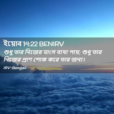 Picture 02 - ইয়োব 14:22 BENIRV - শুধু তার নিজের - Bible Verse Picture