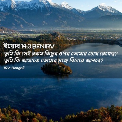 Picture 02 - ইয়োব 14:3 BENIRV - তুমি কি সেই রকম - Bible Verse Picture