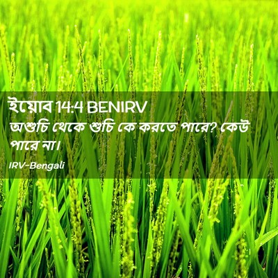 Picture 02 - ইয়োব 14:4 BENIRV - অশুচি থেকে শুচি কে - Bible Verse Picture