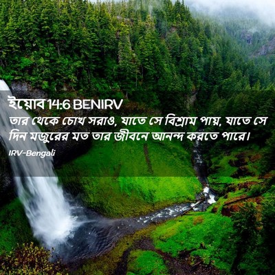 Picture 02 - ইয়োব 14:6 BENIRV - তার থেকে চোখ সরাও, - Bible Verse Picture