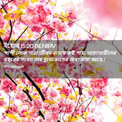 Picture 02 - ইয়োব 15:20 BENIRV - পাপী লোক সারা জীবন - Bible Verse Picture