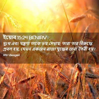 Picture 02 - ইয়োব 15:24 BENIRV - দুঃখ এবং যন্ত্রণা - Bible Verse Picture