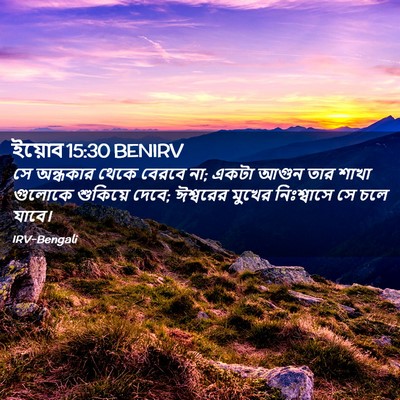Picture 02 - ইয়োব 15:30 BENIRV - সে অন্ধকার থেকে - Bible Verse Picture
