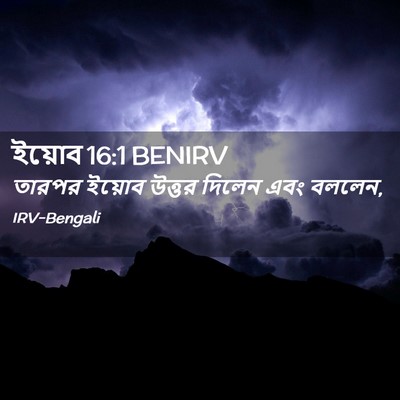 Picture 02 - ইয়োব 16:1 BENIRV - তারপর ইয়োব উত্তর - Bible Verse Picture