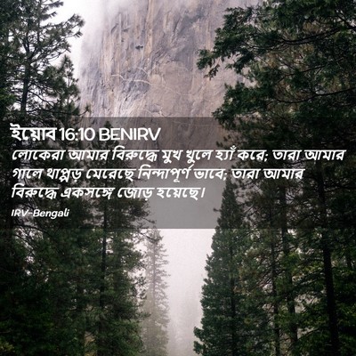 Picture 02 - ইয়োব 16:10 BENIRV - লোকেরা আমার - Bible Verse Picture