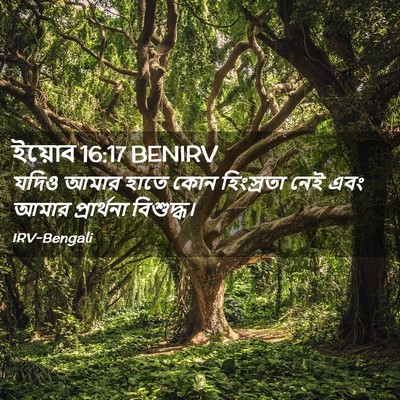 Picture 02 - ইয়োব 16:17 BENIRV - যদিও আমার হাতে কোন - Bible Verse Picture
