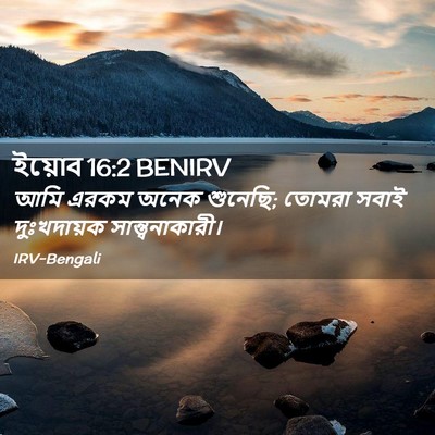 Picture 02 - ইয়োব 16:2 BENIRV - আমি এরকম অনেক - Bible Verse Picture