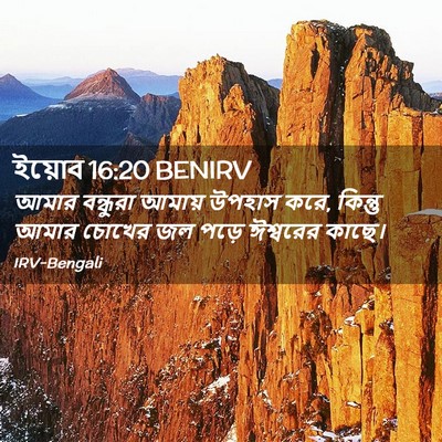 Picture 02 - ইয়োব 16:20 BENIRV - আমার বন্ধুরা - Bible Verse Picture