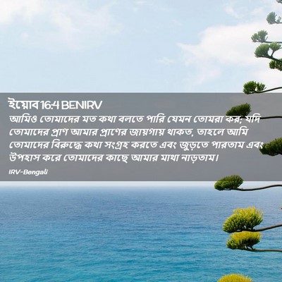 Picture 02 - ইয়োব 16:4 BENIRV - আমিও তোমাদের মত - Bible Verse Picture
