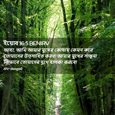 Picture 02 - ইয়োব 16:5 BENIRV - আহা, আমি আমার মুখের - Bible Verse Picture