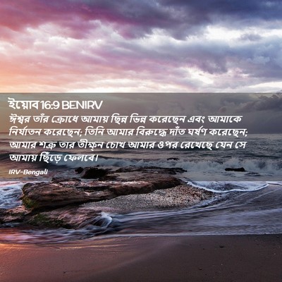 Picture 02 - ইয়োব 16:9 BENIRV - ঈশ্বর তাঁর ক্রোধে - Bible Verse Picture