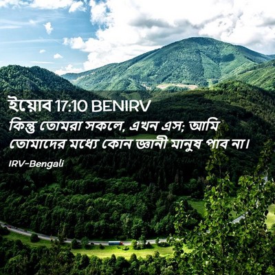 Picture 02 - ইয়োব 17:10 BENIRV - কিন্তু তোমরা সকলে, - Bible Verse Picture