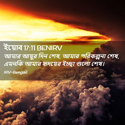 Picture 02 - ইয়োব 17:11 BENIRV - আমার আয়ুর দিন শেষ, - Bible Verse Picture