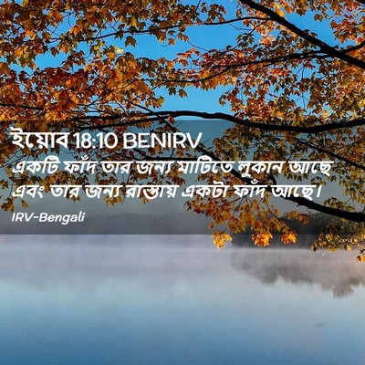 Picture 02 - ইয়োব 18:10 BENIRV - একটি ফাঁদ তার জন্য - Bible Verse Picture
