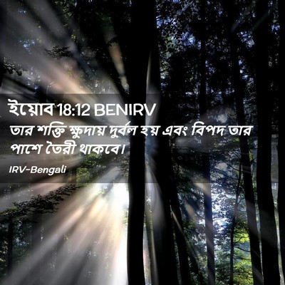 Picture 02 - ইয়োব 18:12 BENIRV - তার শক্তি - Bible Verse Picture