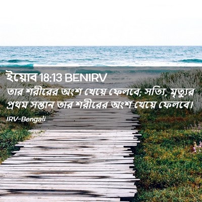Picture 02 - ইয়োব 18:13 BENIRV - তার শরীরের অংশ - Bible Verse Picture