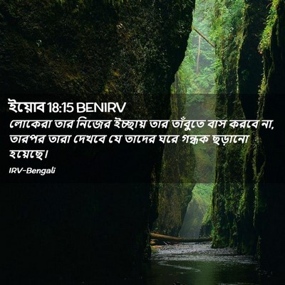 Picture 02 - ইয়োব 18:15 BENIRV - লোকেরা তার নিজের - Bible Verse Picture
